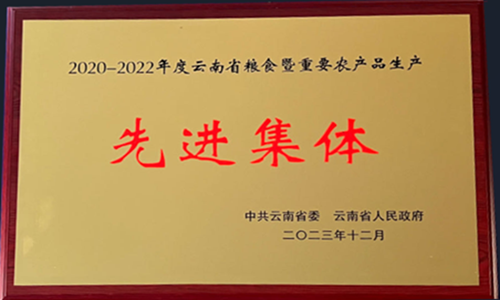 2020-2022年度云南省粮食暨重要农产品生产先进集体